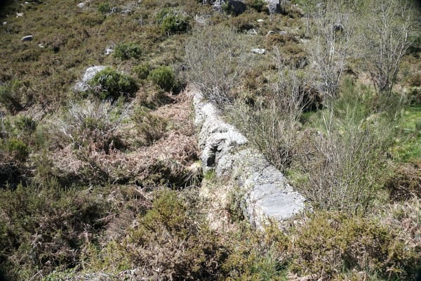 Foto 10 da atividade Galeria de Fotos