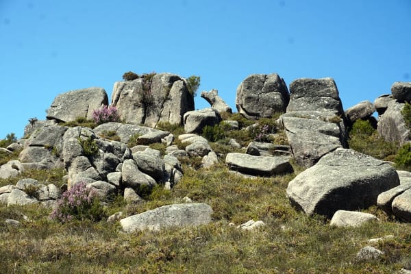 Foto 6 da atividade Galeria de Fotos