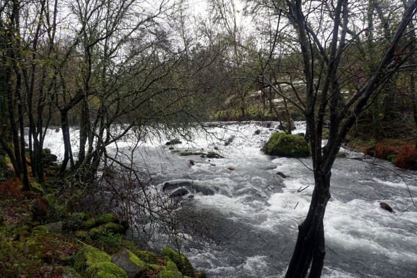 Foto 105 da atividade Galeria de Fotos