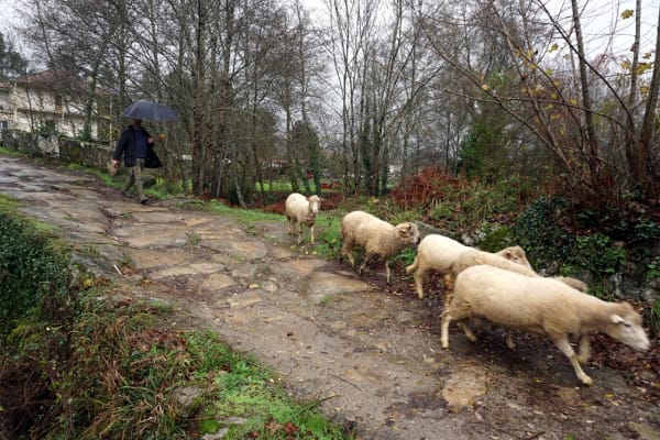 Foto 87 da atividade Galeria de Fotos