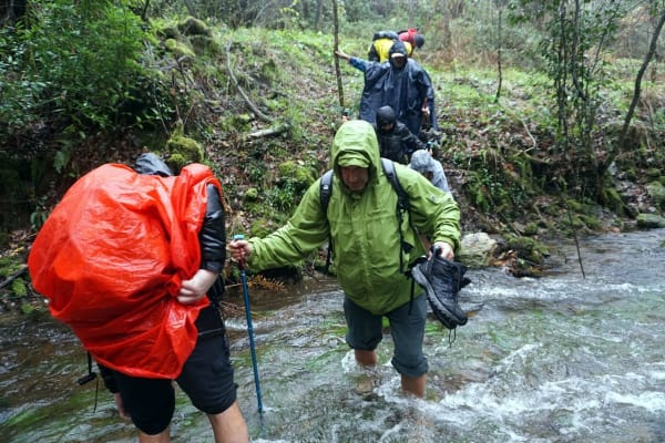 Foto 68 da atividade Galeria de Fotos