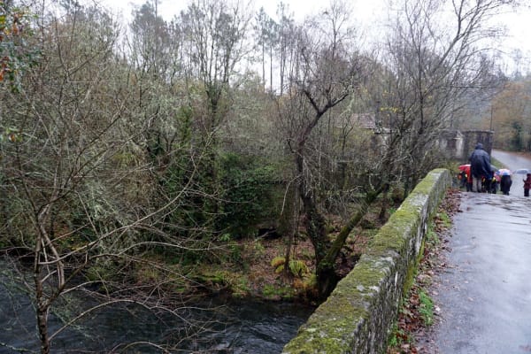 Foto 54 da atividade Galeria de Fotos