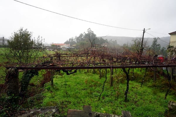 Foto 52 da atividade Galeria de Fotos