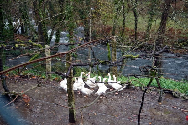 Foto 51 da atividade Galeria de Fotos