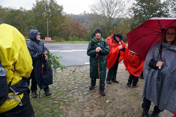 Foto 40 da atividade Galeria de Fotos