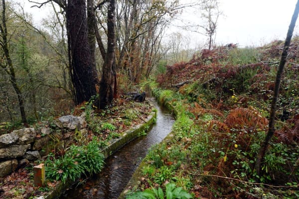 Foto 25 da atividade Galeria de Fotos