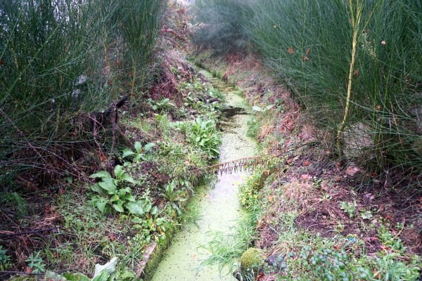 Foto 9 da atividade Galeria de Fotos