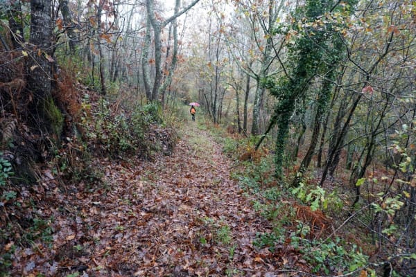 Foto 1 da atividade Galeria de Fotos