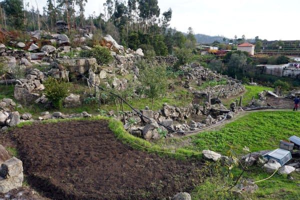 Foto 52 da atividade Galeria de Fotos