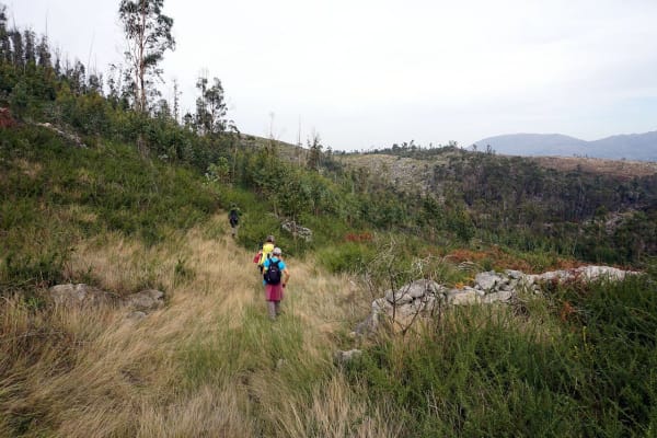 Foto 12 da atividade Galeria de Fotos