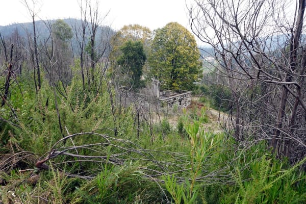 Foto 9 da atividade Galeria de Fotos