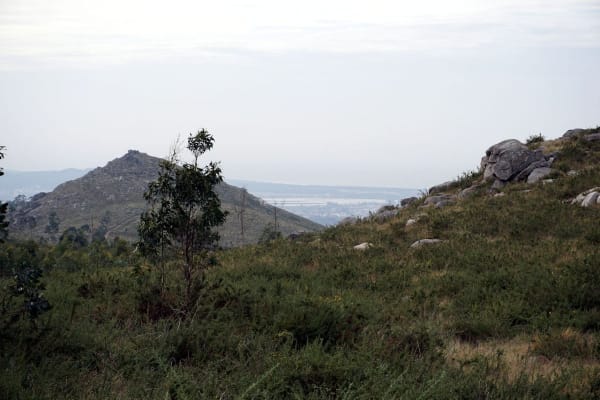 Foto 7 da atividade Galeria de Fotos