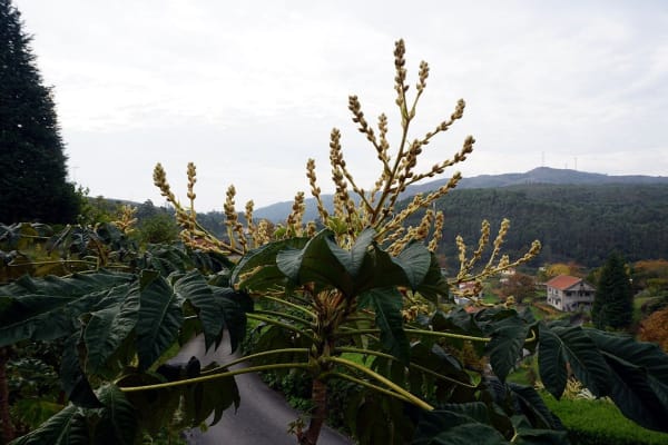 Foto 1 da atividade Galeria de Fotos