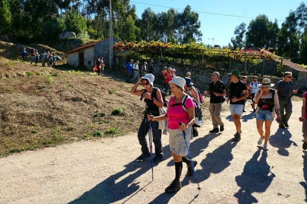 Foto 87 da atividade Galeria de Fotos