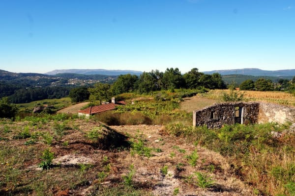 Foto 81 da atividade Galeria de Fotos