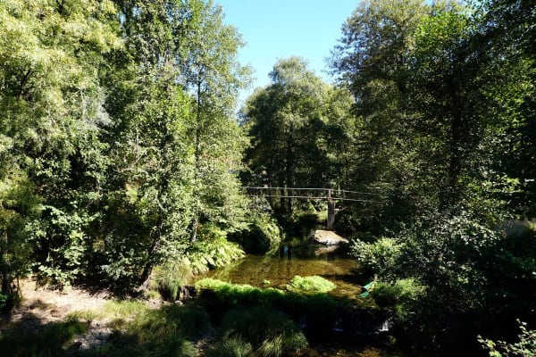 Foto 67 da atividade Galeria de Fotos