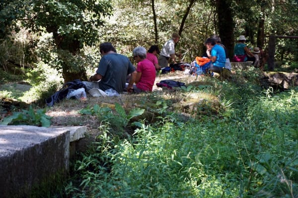 Foto 58 da atividade Galeria de Fotos