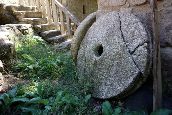 Foto 52 da atividade Galeria de Fotos