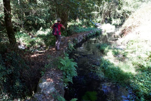 Foto 51 da atividade Galeria de Fotos