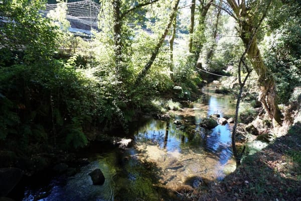 Foto 43 da atividade Galeria de Fotos