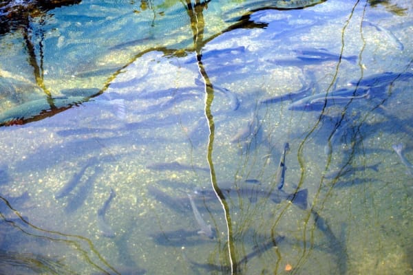 Foto 21 da atividade Galeria de Fotos