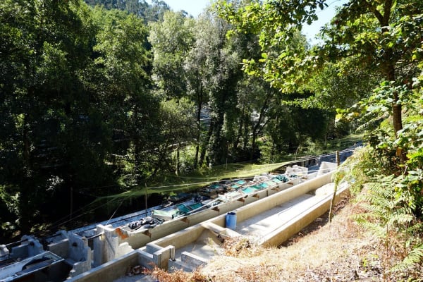 Foto 17 da atividade Galeria de Fotos