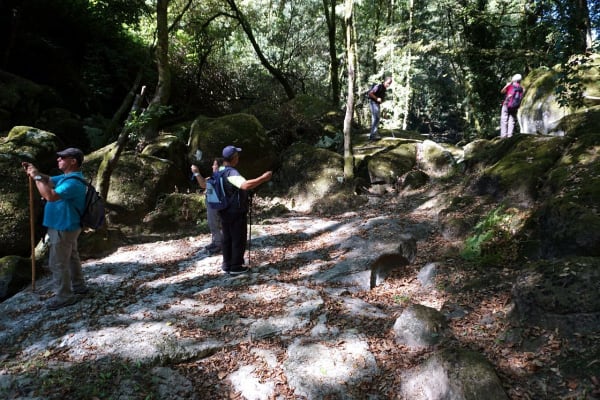 Foto 4 da atividade Galeria de Fotos