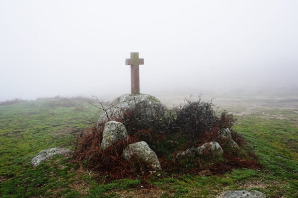 Foto 83 da atividade Galeria de Fotos