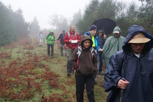 Foto 72 da atividade Galeria de Fotos