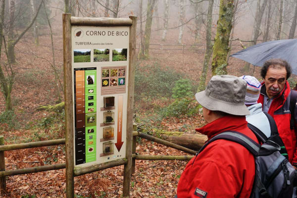 Foto 64 da atividade Galeria de Fotos