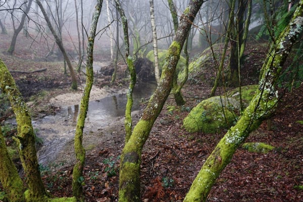 Foto 66 da atividade Galeria de Fotos