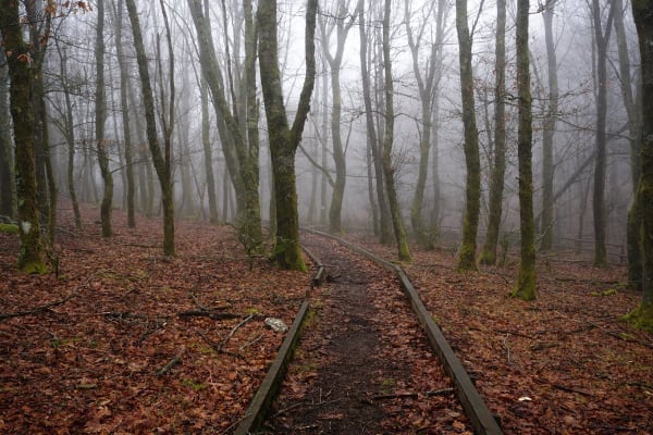 Foto 50 da atividade Galeria de Fotos