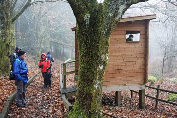 Foto 41 da atividade Galeria de Fotos