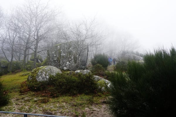 Foto 35 da atividade Galeria de Fotos