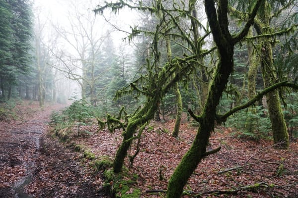 Foto 3 da atividade Galeria de Fotos