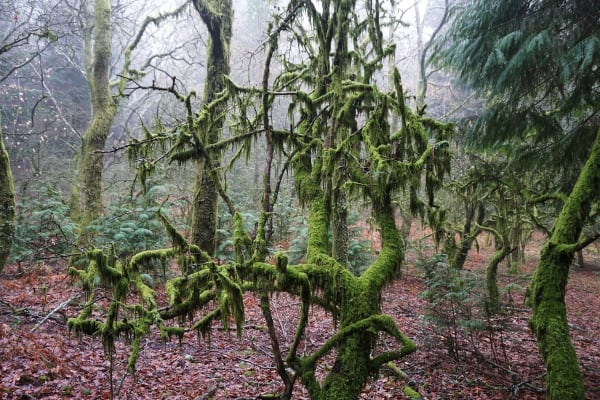 Foto 2 da atividade Galeria de Fotos