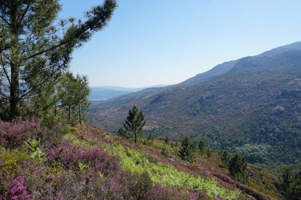 Foto 88 da atividade Galeria de Fotos