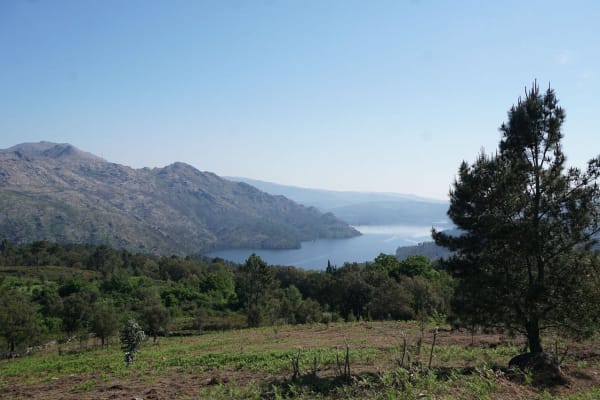 Foto 72 da atividade Galeria de Fotos