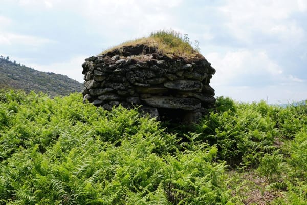 Foto 64 da atividade Galeria de Fotos