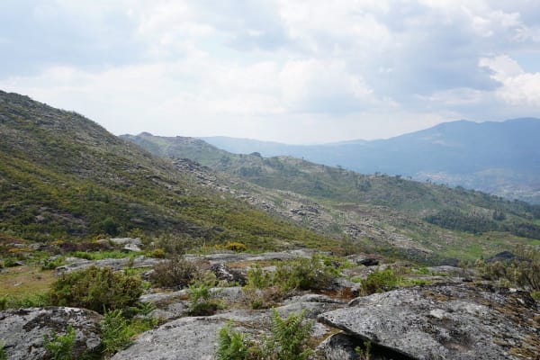 Foto 61 da atividade Galeria de Fotos