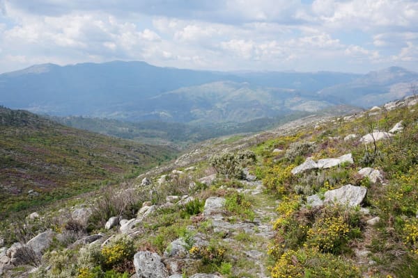 Foto 52 da atividade Galeria de Fotos