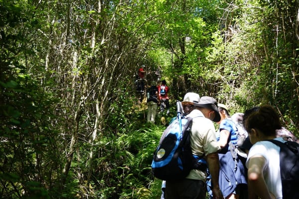 Foto 15 da atividade Galeria de Fotos