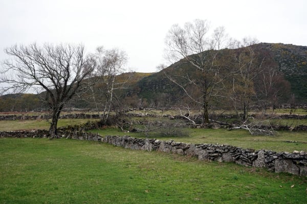 Foto 99 da atividade Galeria de Fotos