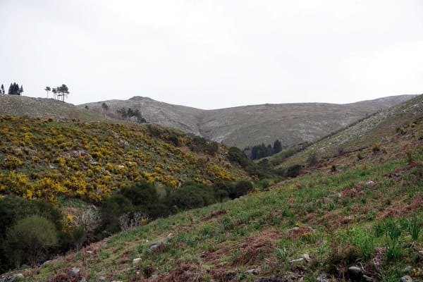 Foto 94 da atividade Galeria de Fotos