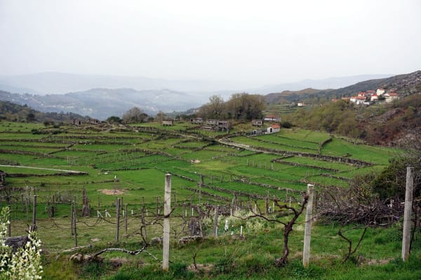 Foto 85 da atividade Galeria de Fotos