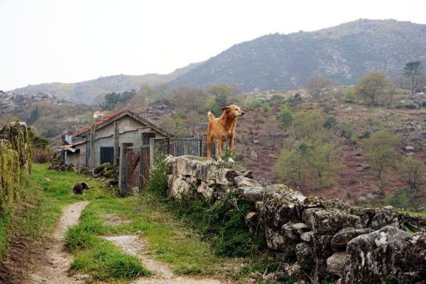 Foto 75 da atividade Galeria de Fotos