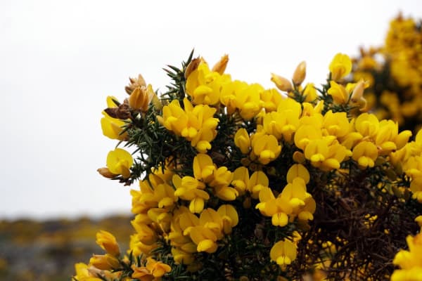 Foto 67 da atividade Galeria de Fotos