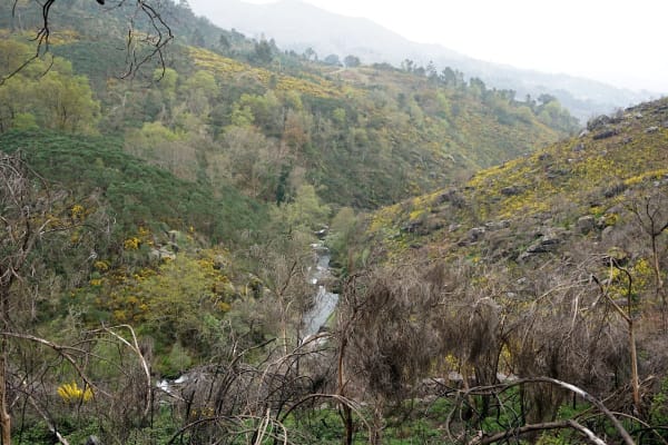 Foto 55 da atividade Galeria de Fotos