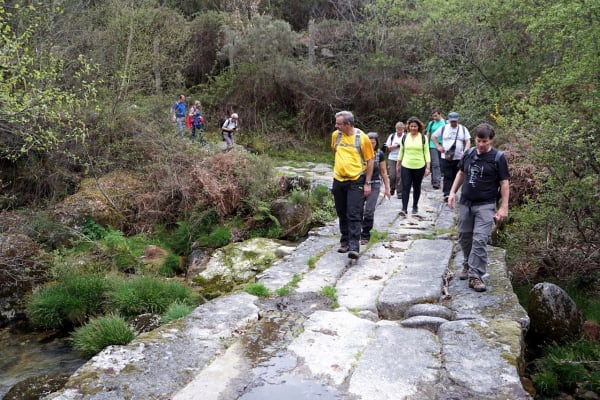 Foto 48 da atividade Galeria de Fotos