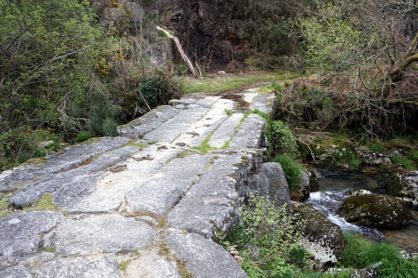 Foto 39 da atividade Galeria de Fotos